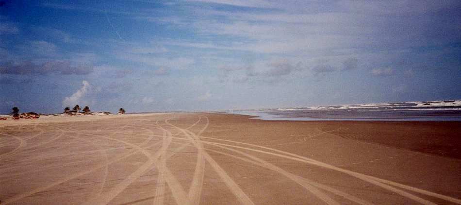 les traces des buggy sur la plage